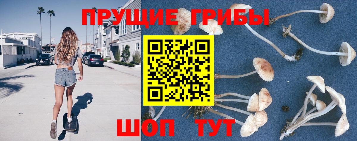Нефтеюганск  Галлюциногенные грибы мухоморы  Вход с VPN 