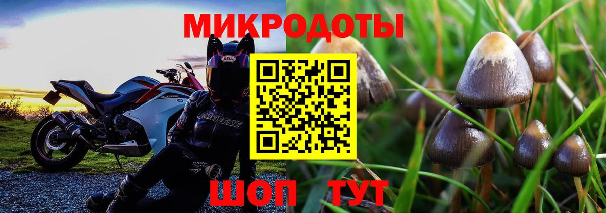 Псилоцибиновые грибы Psilocybine cubensis Нефтеюганск